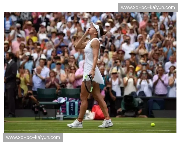 网坛的“穆”与“锦”：宿命对决，荣耀之战