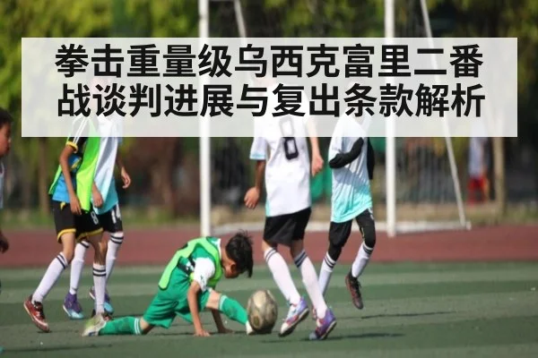 拳击重量级乌西克富里二番战谈判进展与复出条款解析