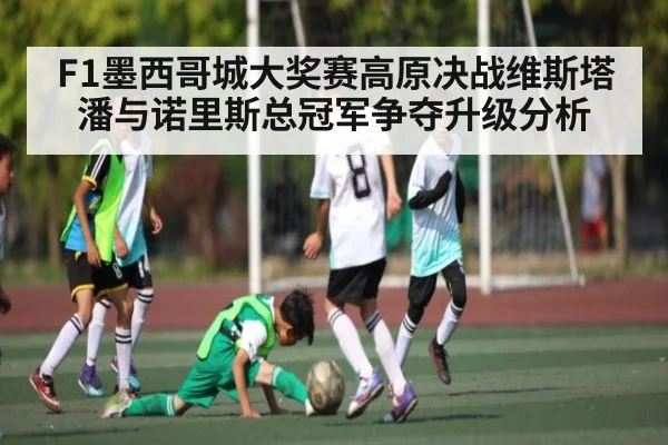 F1墨西哥城大奖赛高原决战维斯塔潘与诺里斯总冠军争夺升级分析（kaiyun sports）